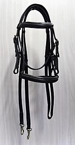 Bridles and bits